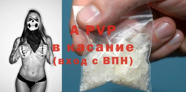 PSILOCYBIN Михайлов