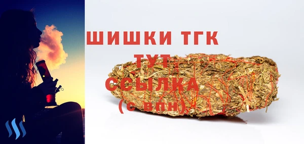 PSILOCYBIN Михайлов