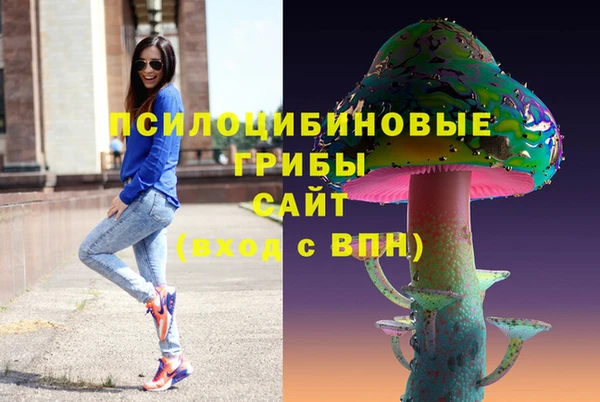 PSILOCYBIN Михайловск