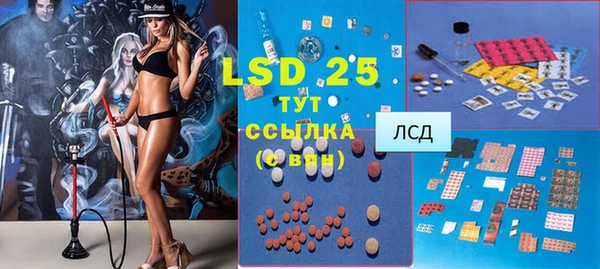 PSILOCYBIN Михайлов